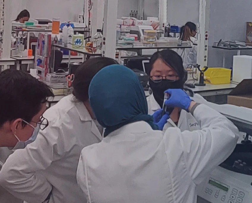 Whole Genome Sequencing