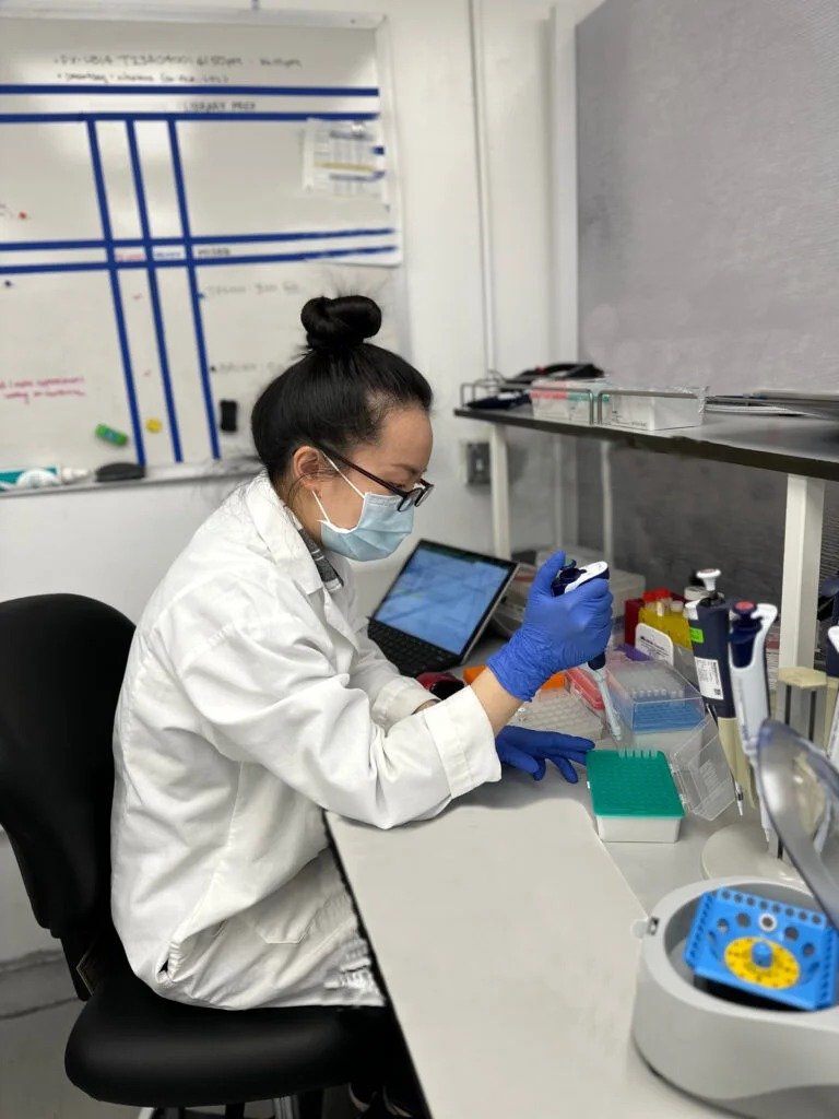 Custom Assays